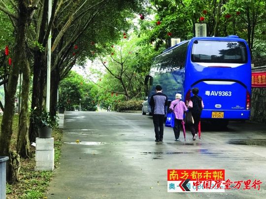 幾乎每天都有老人被組織到九龍道山莊園游玩。