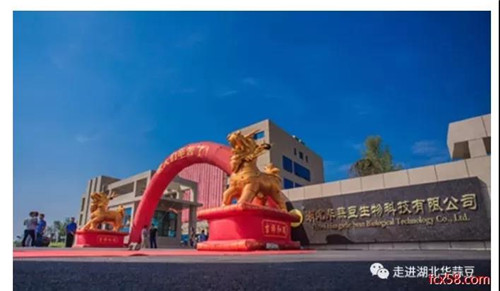 華蒜豆涉嫌傳銷被查 董事長魯發(fā)連被刑事拘留