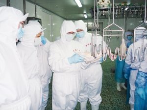 加拿大食品檢驗(yàn)署到山東考察