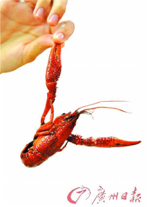 ϴr۴׻Ǐ(qing)᳣坍(MD)