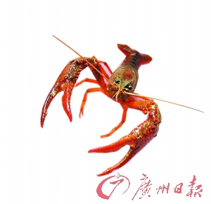 ϴr۴׻Ǐ(qing)᳣坍(MD)