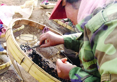 泗水砭石堪比肉價(jià)
