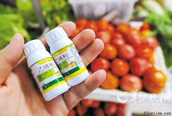 “乙烯利”植物生長(zhǎng)調(diào)節(jié)劑可在農(nóng)資市場(chǎng)隨便買到 新華社 發(fā)
