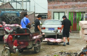 北京泔水豬肉未經(jīng)檢疫流入市場當正規(guī)肉賣(圖)