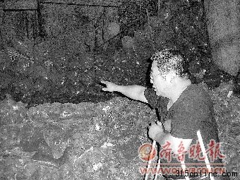 貿(mào)易公司被曝賤賣遭百噸氨氣污染洋蔥流向不明