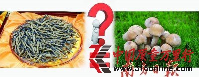 x݃r(ji)Sɱ ҷQI(yng)B(yng)r(ji)ֵĢ
