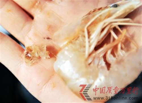 圖為記者從天津市場上購買的“注膠蝦”頭部擠出膠狀透明物質。 新華社發(fā)