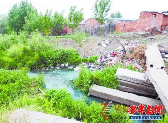 藍色頂棚的豆芽廠就在污水河旁。