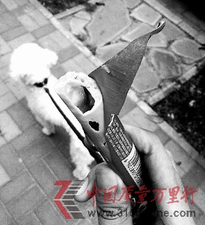 czһӣǿĵģcw߀3С