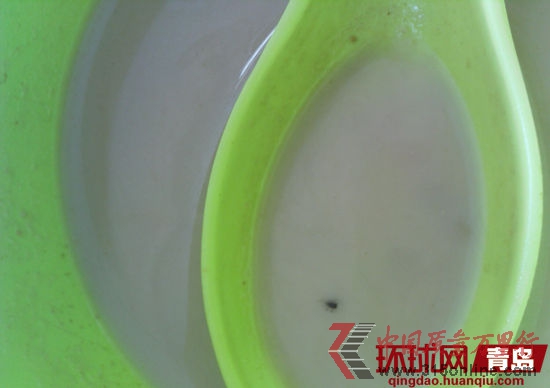 吉阿婆麻辣燙內(nèi)的小蟲(chóng) 吉阿婆麻辣燙內(nèi)的小蟲(chóng)