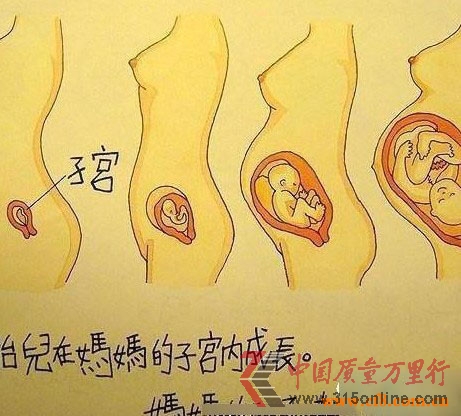 @СW(xu)꼉n(ni)ݣ