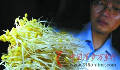 “問(wèn)題豆芽”加工過(guò)程中添加了許多違法添加劑 本版圖片均為晚報(bào) 王浩然 資料圖片 “問(wèn)題豆芽”加工過(guò)程中添加了許多違法添加劑 本版圖片均為晚報(bào) 王浩然 資料圖片
