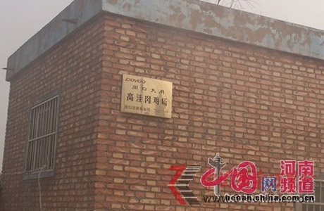周口項(xiàng)城縣高洼肉雞養(yǎng)殖場 周口項(xiàng)城縣高洼肉雞養(yǎng)殖場