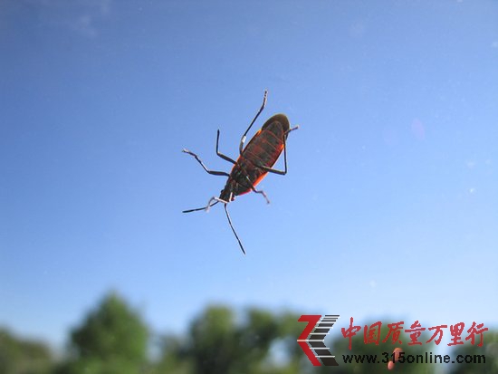 ΢ܛl(f)57ȫa ׽BUGȸ蹤̎ؕI^