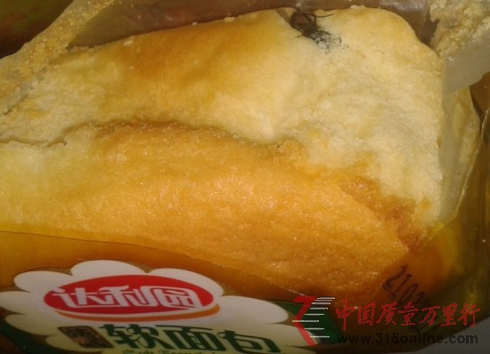 吃出蒼蠅的達(dá)利園軟面包(圖片由閆先生提供) 吃出蒼蠅的達(dá)利園軟面包(圖片由閆先生提供)
