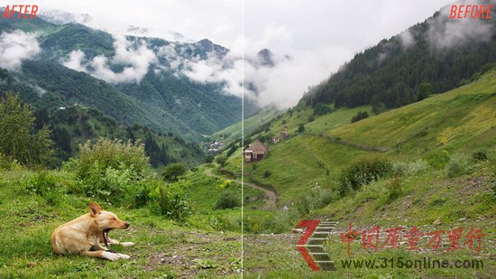 ƯƬ͏(qing)㷨܎Google+